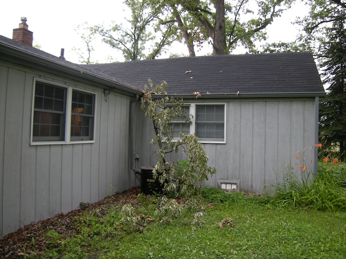 tree limb on house